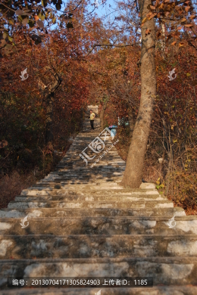 紅葉