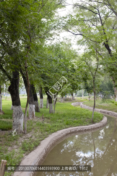 小樹林