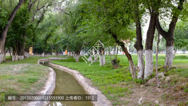 小區(qū)綠化