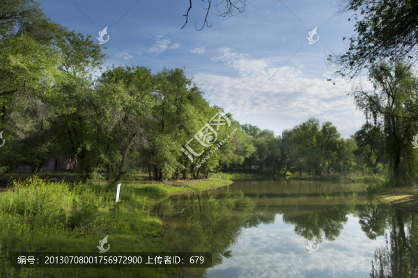 公園,水塘