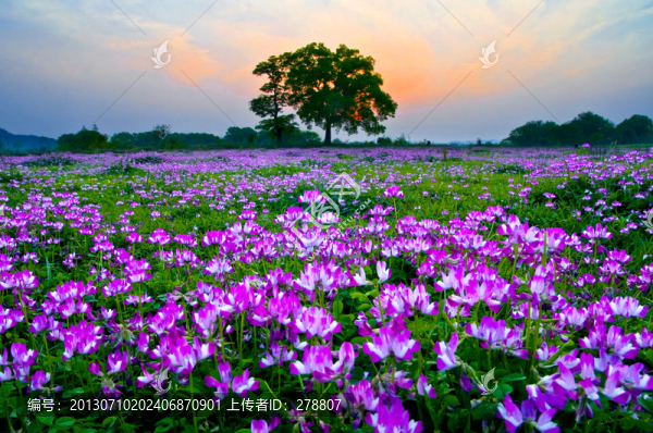 春滿大地