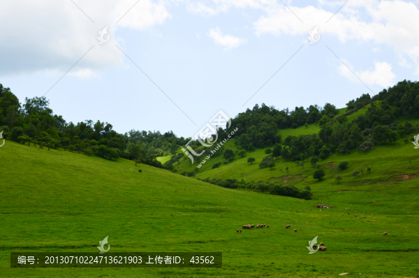 關山牧場