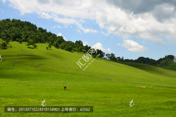 關(guān)山牧場(chǎng)