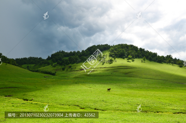 關(guān)山牧場(chǎng)