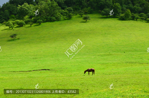 關(guān)山牧場
