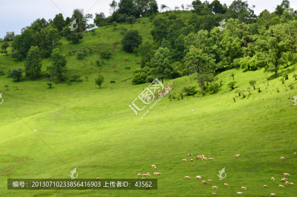 草原牧場