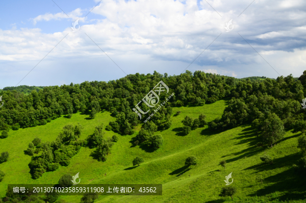 草原牧場