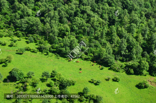 草原牧場(chǎng)