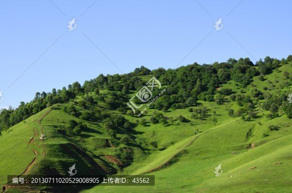 草原牧場(chǎng)