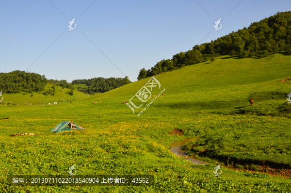 草原牧場