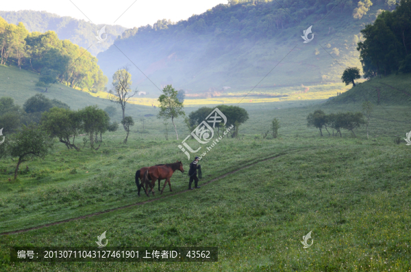 草原牧馬