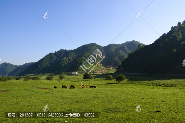 美麗的草原牧場(chǎng)