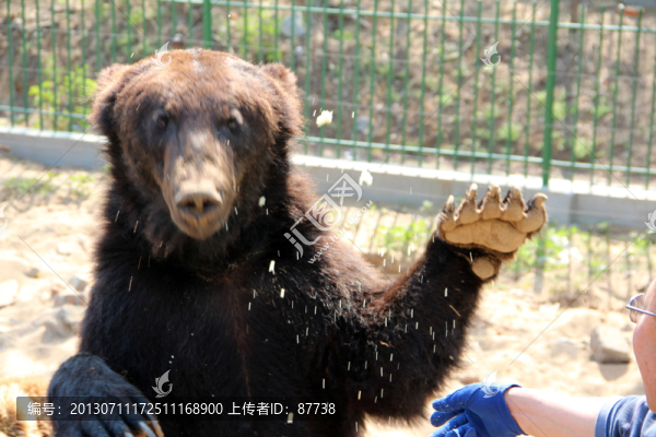 動(dòng)物園