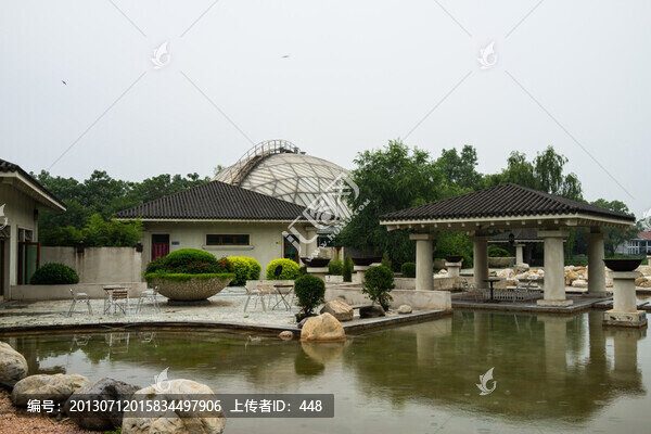 溫泉水池
