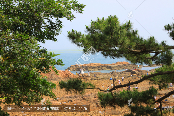 海島