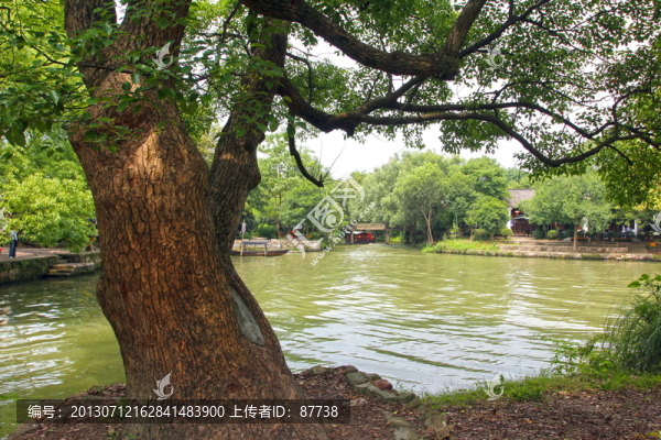 杭州西溪濕地