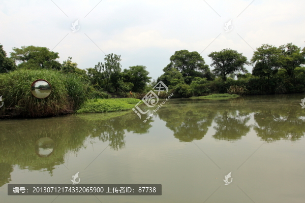 杭州西溪濕地