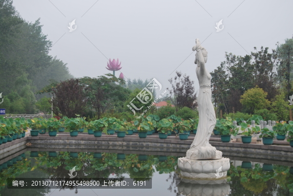 山東,微山湖,景致