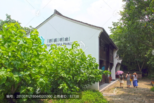 杭州西溪濕地