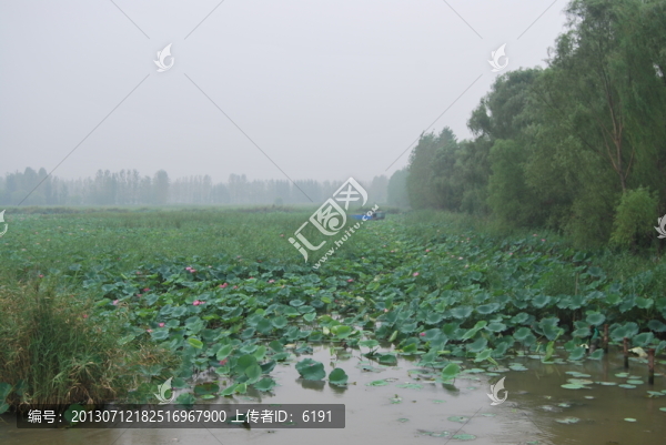 山東,微山湖,景致