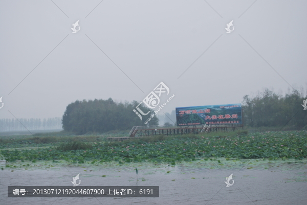 山東,微山湖,景致