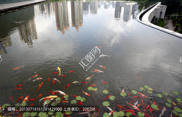 城市風(fēng)光