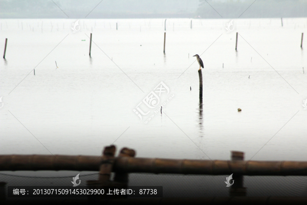 紹興