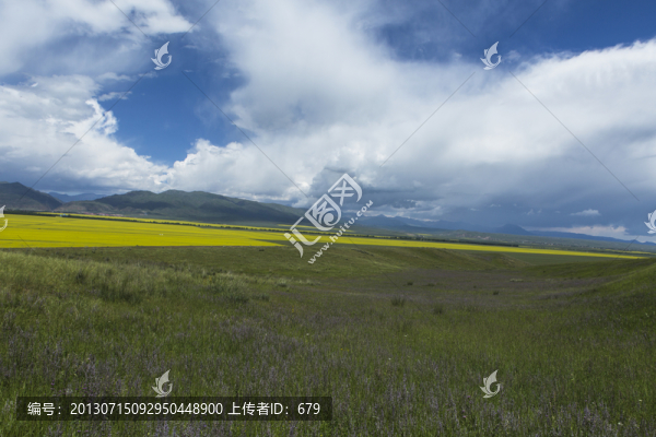 新疆風(fēng)光
