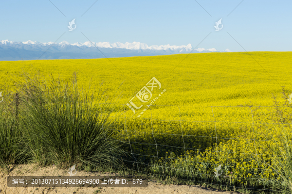 草原風(fēng)光