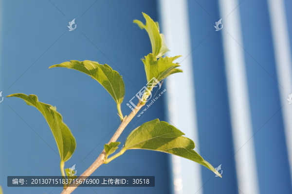 藍(lán)色的背景