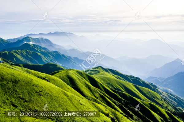 高山草甸