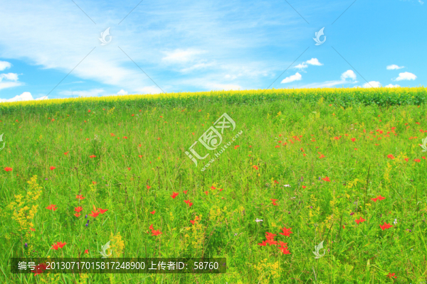 花之原野