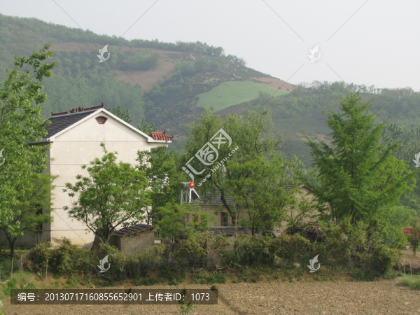 茶鄉(xiāng)農(nóng)家小樓