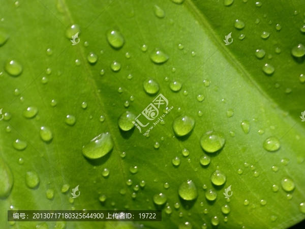 水珠