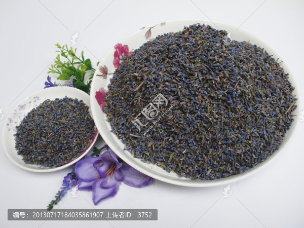 薰衣草