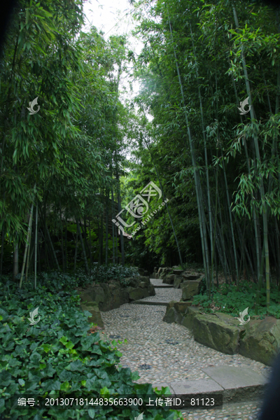 竹林