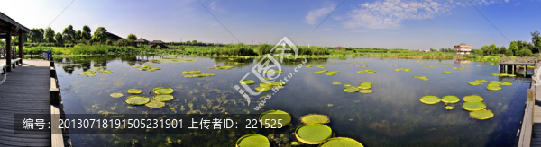 蘇州荷塘月色公園