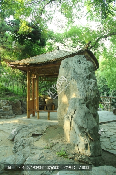 竹亭,竹林