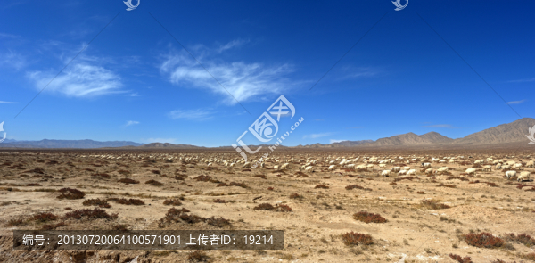 青藏線沿途風(fēng)光