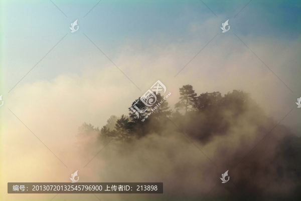霧景
