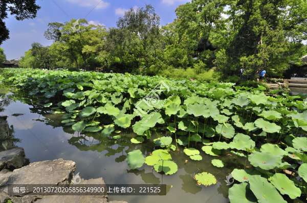 蘇州拙政園夏景