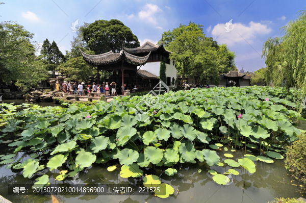 蘇州拙政園夏景