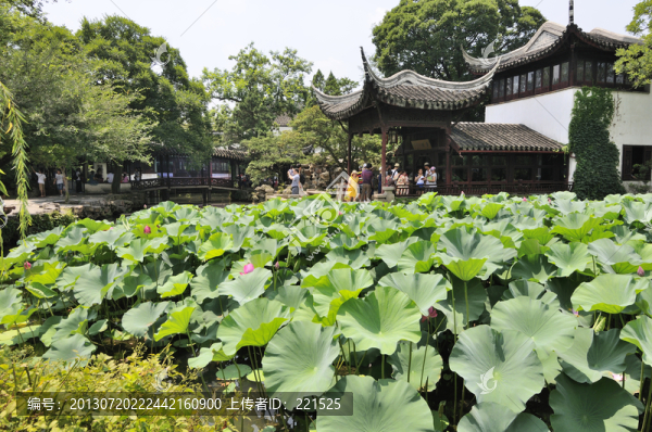 蘇州拙政園夏景