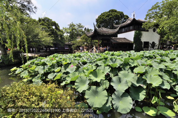 蘇州拙政園夏景