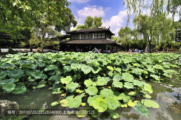 蘇州拙政園夏景