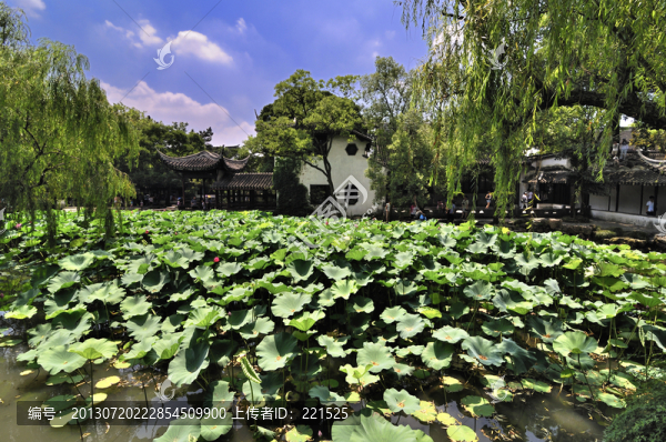 蘇州拙政園夏景