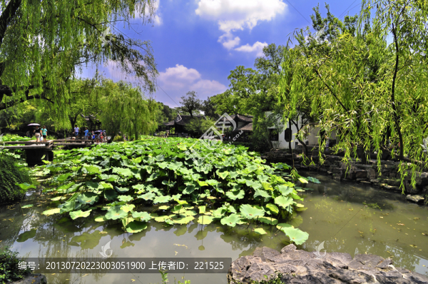 蘇州拙政園夏景