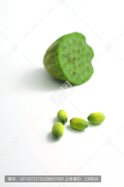 蓮子,蓮蓬