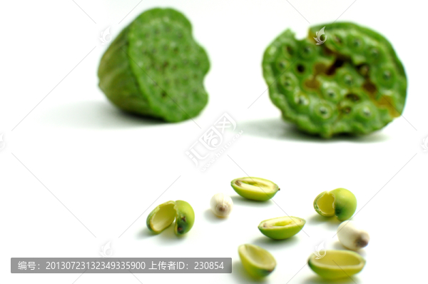 蓮子,蓮蓬