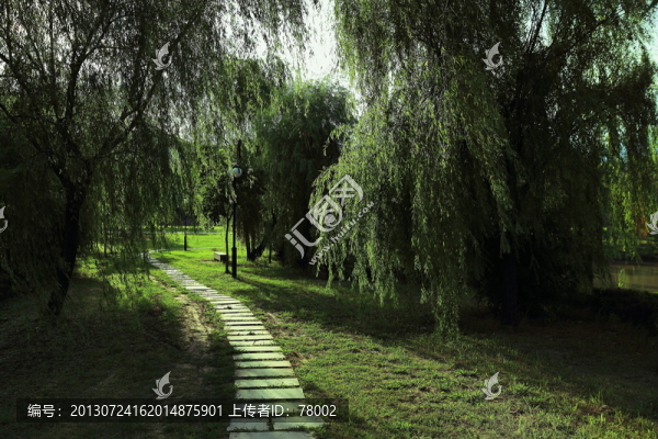 公園小道